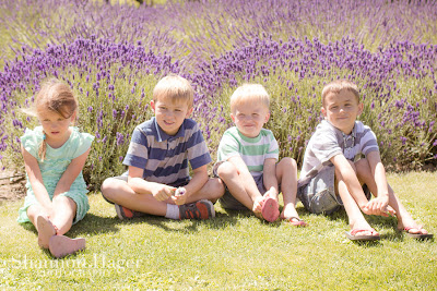 Shannon Hager Photography, Lavender Field Portraits