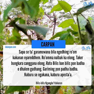 carpan bilis bilis ngangko' kakanan, carpan madura  basa madura  bahasa madura, sastra madura