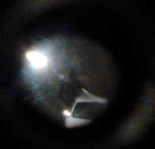 Mothman Through The Peep Hole
