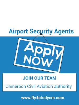 Cameroon civil Aviation jobs