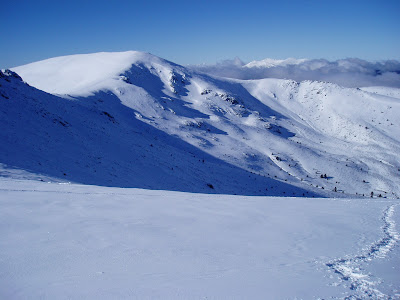 PARQUE NACIONAL SIERRA DE GUADARRAMA: Propuesta de mejora