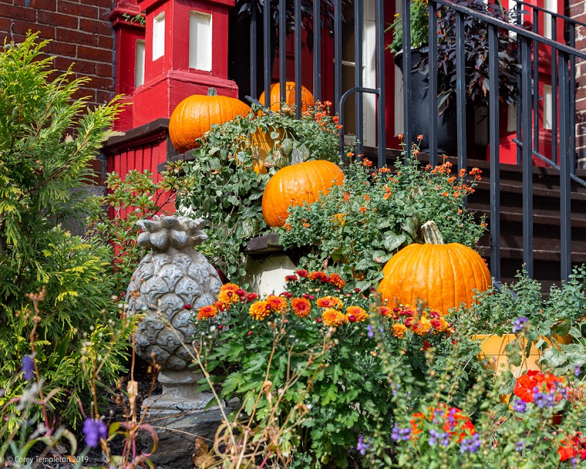 Portland, Maine USA October 2016 photo by Corey Templeton. Fruit in the Front. Pumpkins and a pineapple, from October 2016.