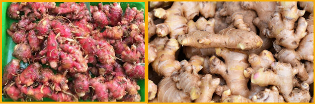 How do you consume ginger for your immune system in the midst of the COVID-19 pandemic?  How to make ginger water at home  Grate 1.5 teaspoons of fresh ginger. Boil 4 cups of water.  Add ginger to the water.  Let the ginger soak for about 5-10 minutes.  Strain the water to separate the grated ginger.  Ginger water can be drunk both hot and cold.  How long does ginger juice last? Ginger drink should be enjoyed while warm. However, if you want to store ginger in the refrigerator, place the ginger in a paper bag or plastic bag then store it on the vegetable shelf of the refrigerator. Ginger stored in the right way can last up to 2 weeks or more. The quality of ginger will also be maintained even though it has been stored for a long time.   Is it okay to drink ginger every day? The recommended consumption of ginger is no more than 4 grams per day and no more than 1 gram per day for pregnant women. Ginger consumption of more than 4 grams per day can cause a number of side effects. Drinking excess ginger can cause digestive problems.   Ginger can cure any disease? Health benefits of ginger: Overcoming digestive problems. Ginger has a long history of dealing with digestive-related problems. Reduces nausea.  Reduce pain.  Helps the detoxification process and prevents skin diseases.  Protects you from cancer.  Anti-inflammatory.  How many times a day drink ginger water? Research shows that consuming 1 gram of ginger three times daily for 45 days lowers triglyceride and cholesterol levels in people with high cholesterol. Drinking black tea with ginger can lower blood pressure in small amounts in people with diabetes and high blood pressure.   Can you mix turmeric with ginger? Ginger and turmeric can be consumed fresh, dried, or ground, and added to various dishes. In fact, ginger and turmeric are available in stores in the form of supplements. Chronic inflammation can lead to various diseases such as heart disease, cancer and diabetes.   Can you boil ginger? So that we can get the maximum benefits, ginger should not be brewed with water that is too hot, let alone boil it in boiling water. In fact, it is actually the active compound that is beneficial in ginger.   What are the side effects of drinking ginger every day? Although it has many benefits for the health of the body, this herbal plant can also trigger a number of side effects if consumed in excess. Based on herbalist research, consuming more than 4 grams of ginger per day can cause heartburn, bloating, nausea, or stomach upset.   How to store ginger? Launch from Food, NDTV and Foodal, there are several proper ways to store ginger so that it doesn't dry out, as follows.   5 Ways to Keep Ginger Fresh Store the ginger in a paper bag or paper towel. Store in acid water.  Freezed.  Store in the refrigerator.  Keep out of the sun.  When should you drink ginger stew? You can consume ginger cooking water at any time, but if you consume it in the morning on an empty stomach, it will increase its benefits. Regularly drinking ginger water in the morning can improve blood circulation. The content of magnesium, zinc and potassium in ginger helps regulate the smooth flow of blood.   Can ginger lower blood sugar levels? Ginger, for example, is low in carbs and calories. Over the years, ginger has been shown to help lower blood sugar levels and help regulate insulin response in people with diabetes.   Can ginger improve blood circulation? Blood circulation : The magnesium, zinc and potassium present in ginger help regulate inflammatory processes that often cause problems with circulation. In addition, ginger can also lower cholesterol levels in the arteries, thereby helping to protect heart health.   What is red ginger useful for? Red ginger is useful for preventing blood clots and improving blood circulation. However, these benefits can actually increase the risk of bleeding, especially for those of you who have blood disorders or are currently undergoing treatment to slow blood clotting. Red ginger can stimulate bile production.   Can people with stomach acid consume ginger? As an anti-inflammatory. Reporting from Healthline, natural treatment for stomach acid problems can help relieve symptoms because it acts as an anti-inflammatory. However, ginger should only be consumed in small doses, because if it is excessive it will worsen the symptoms of the disease.   What are the benefits of drinking ginger every day? Drinking ginger water is believed to prevent dehydration, reduce pain, relieve nausea, lose weight, and others. Not only used as a cooking ingredient, ginger has also been used since ancient times as a traditional medicine. These herbal plants are generally boiled with water to be enjoyed as a drink.   What are the functions of turmeric and ginger? Ginger and turmeric have strong anti-inflammatory properties, which can help reduce pain. Usually in chronic inflammation associated with heart disease, cancer, and diabetes. This condition is also experienced by someone with an autoimmune condition. Then also rheumatoid arthritis and inflammatory bowel disease.   What are the benefits of drinking ginger water? Benefits of Ginger Boiled Water, Can Overcome Nausea Maintain Digestive Health.  Deal with nausea.  Overcoming Joint Pain and Muscle.  Lowering Cholesterol Levels.  Maintain Oral Health.  Inhibits the Growth of Cancer Cells.  Improve Brain Function.  Lose weight.  What are the benefits of drinking ginger water before bed? Strengthens the Immune System in the Body. As explained earlier, the benefits of drinking ginger before bed are able to make the body's immune system stronger. Because of its very high antioxidant content, which can cause any kind of disease or inflammation.   Can ginger rot? Ginger is usually difficult to store because it tends to be dry or moldy. Thus, when needed, worry that the ginger is rotten and unfit. Ginger also has health benefits, such as boosting immunity and fighting inflammation in the body.   Does ginger skin need to be peeled off? To get a strong ginger aroma, before using this ginger must be peeled first. However, to peel the ginger skin thinly is a bit difficult because of the bumpy surface. To make it easier to peel the ginger skin thin, use a tablespoon.   Can you eat ginger directly? Not only used for cooking spices, ginger is also often drunk with a mixture of tea or milk, and can even be eaten fresh.   Can ginger treat heart disease? Maintain Heart Health: Ginger can help reduce levels of bad cholesterol (LDL) and triglycerides in the blood. Ginger is also believed to have anti-blood clotting properties. How to consume red ginger is quite easy, Take 1 tablespoon of ginger slices, digeprek.   What are the side effects of red ginger? Be careful, excessive consumption of ginger can trigger 6 side effects  Indigestion. Never consume ginger on an empty stomach. Pregnancy problems. Consuming ginger beyond the prescribed limit, which is 1,500 milligrams per day, can increase the risk of miscarriage.  Bleeding. Ginger has anti-platelet properties.  Affects the liver.  Gives up gas.  Mouth irritation.  Can GERD sufferers drink ginger? The phenolic substances in ginger are believed to relieve irritation of the digestive tract and prevent contraction of the stomach muscles. This can reduce the risk of acid reflux back into the esophagus. This means that the possibility of stomach acid reflux can be avoided by consuming ginger.   Can ulcer sufferers drink warm ginger? Well, for those with stomach ulcers or high stomach acid, ginger can also be a remedy. In Alodokter's consultation channel, Doctor Rony Wijaya explained that ginger is a good herbal plant for people with ulcers. Ginger can help neutralize excess stomach acid.   What are the benefits of boiling ginger and brown sugar? The benefits of ginger, lemongrass and brown sugar, among others, can prevent various dangerous diseases such as heart disease and high blood pressure, to help promote healthy digestion. The benefits of lemongrass and ginger stew have been predicted since time immemorial. However, usually these claims are based only on stories passed down from generation to generation.   Does drinking ginger make you fat? In addition to accelerating the body's metabolism, ginger also functions to dilate blood vessels that burn calories so that the body becomes hot or warm and blood flow becomes smooth. Ginger contains very few calories, so it doesn't contribute to weight gain.   What are the benefits of ginger and lime? One of the benefits of lime juice and ginger is that it can help reduce unwanted calories. Both of these ingredients have the ability to burn body fat and also help to clear bowel movements. Both of these ingredients are claimed to be an effective way to lose weight naturally.   What are the benefits of ginger for facial skin? Not only health, these are 7 benefits of ginger for beauty  Overcoming Acne on the Face. Speed ​​up the process of wound healing.  Moisturizes Dry Skin.  Controlling Oil on the Face.  Brighten Skin.  Disguise the scars.  Prevents Premature Aging.  What is the difference between red ginger and regular ginger? Red ginger rhizome size is smaller than white ginger. In addition, red ginger has a spicier and more bitter taste than regular ginger. Then, red ginger is only harvested after it is a little old and suitable for medicinal herbs.   Can ginger overcome respiratory disorders? Like it or not, ginger is one of the best natural remedies of all time, which is used to help manage a variety of conditions such as arthritis, fever and common breathing difficulties. Ginger has expectorant properties, which help clear mucus from the lungs by coughing.   Can ginger treat the lungs? Quoted from the Lung Institute, ginger can even relieve shortness of breath, chronic lung disease. This is evident from sufferers of Chronic Obstructive Pulmonary Disease (COPD) who usually have difficulty breathing. Ginger has anti-inflammatory properties that are useful for repairing the lungs.   Is ginger good for the lungs? This spice ingredient is already known for its various properties. Apparently, ginger can also be used to maintain lung health. Ginger has the ability to clear the airway and detoxify the body so that your breathing becomes easier.
