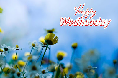 Happy-Wednesday-quotes-wishes-greetings-hd-wallpapers-images-pics-photos-for-facebook