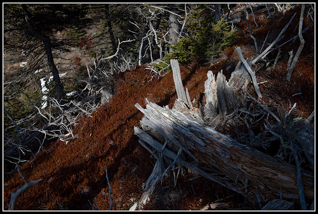 Gaff Point; Nova Scotia