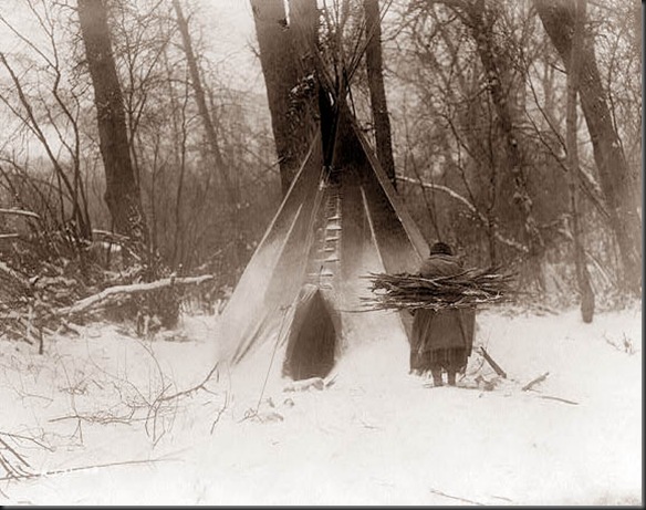 gathering-wood