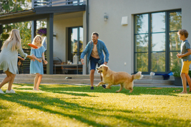 Smiling Beautiful Family of Four Play Fetch flying disc with Happy Golden Retriever Dog on the Backyard Lawn.