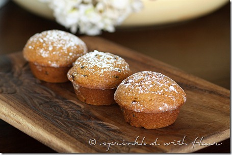 Pumpkin-Applesauce-Muffins-1-for-web