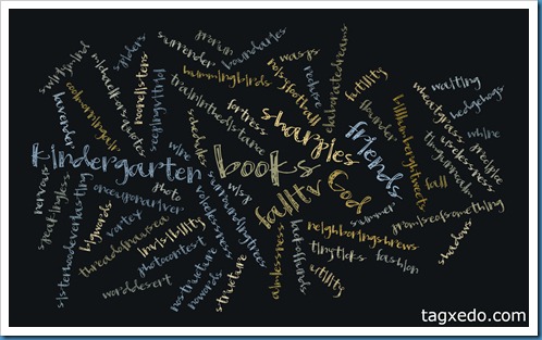 wordcloud8.18.11