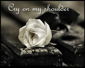 cry on my shoulder tab harmonica