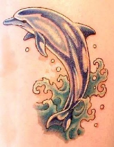 Tattoo Ikan Dolphin Gambar  Seni Tattoo