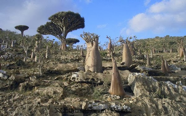 Benarkah Pulau Socotra Yemen Pulau Di Mana DAJJAL 