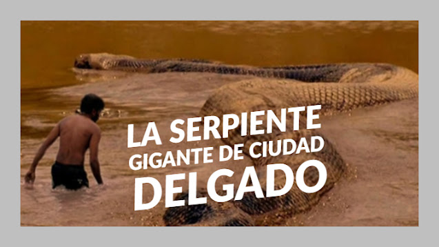 Conoce la leyenda de la serpiente gigante de Ciudad Delgado