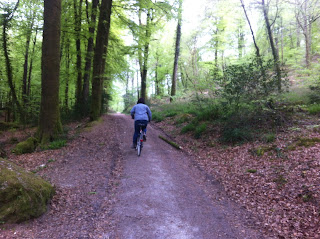 Huelgoat forest, Brittany