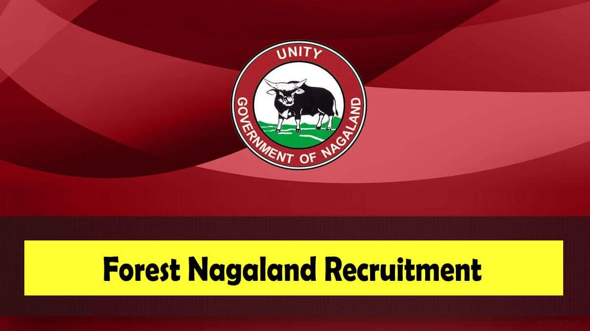 Forest Nagaland