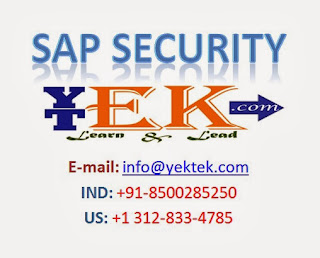 sap security online training