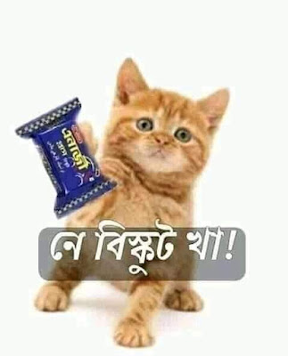 নে বিস্কুট খা