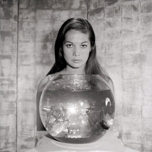 1960. Nancy Kwan photographed by Wallace Seawell
