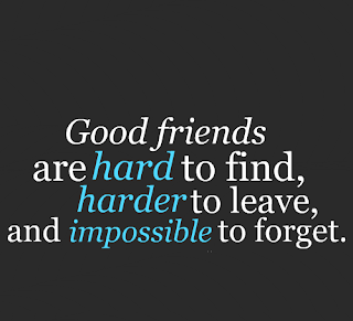 Friendship Quotes