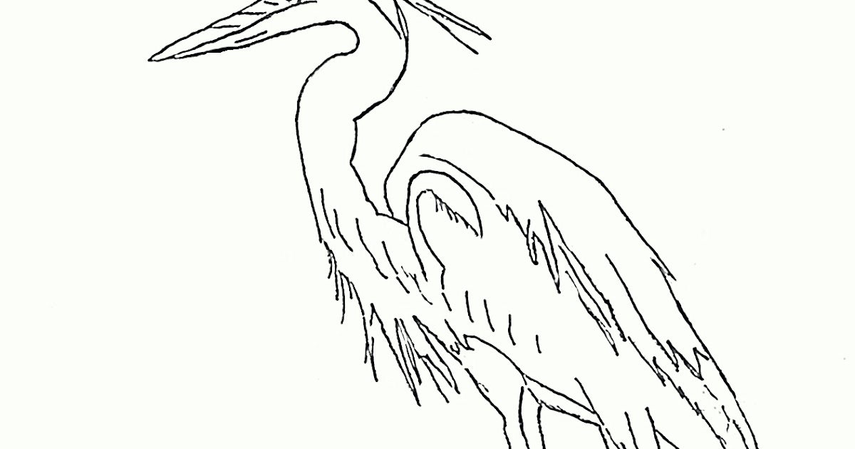 Download Carving Out a Niche: Coloring Pages
