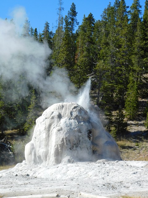 C131_USA WY Yellowstone NP Lone Star Geyser Hike_2018-09-25_DSCN2759