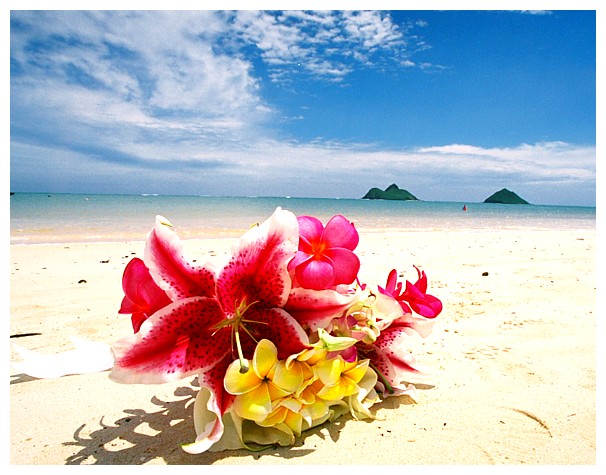 hawaiian wedding photos groom red sash