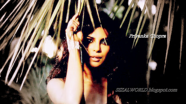 priyanka chopra wallpaper 2013 in song exotic