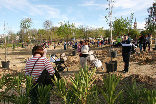 http://diariojaen.es/jaen/mas-de-una-veintena-de-municipios-recuperan-sus-zonas-verdes-a-traves-del-programa-regenera-BE2457333