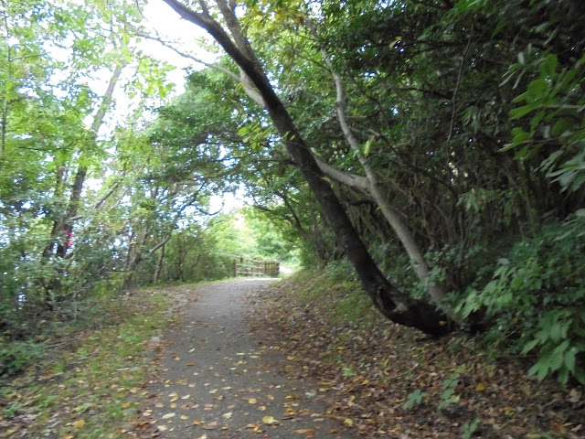 荒磯遊歩道を帰ります