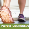 Fungsi Dan Macam-Macam Kelainan Tulang Belakang