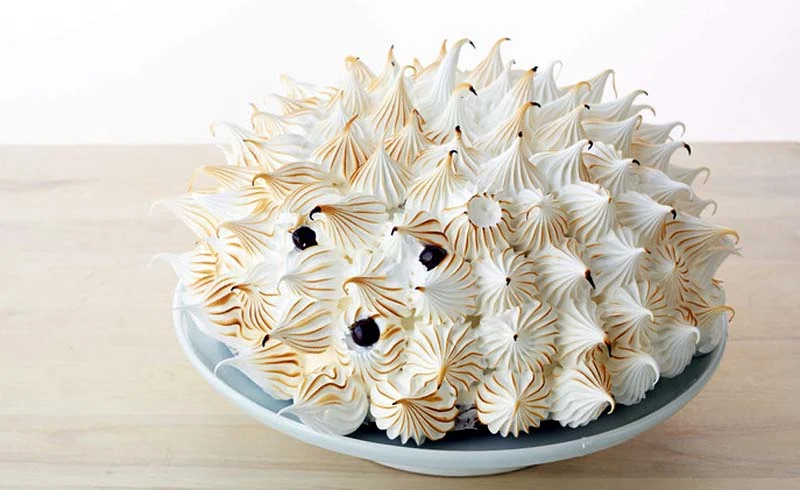  Hedgehog Cake 