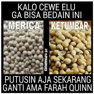 10 Meme 'Cewek Idaman' Ini Bikin Cowok Klepek-klepek