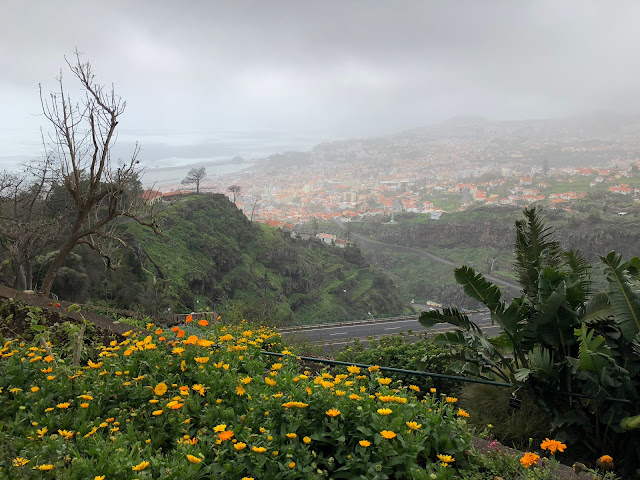 Madera, Madeira, Funchal, Portugalia, Jardim Botanico