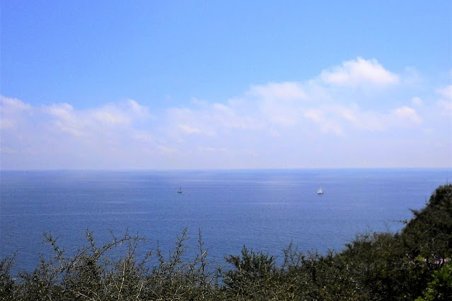 Il mare Adriatico dall'alto del Sentiero delle Cipolliane