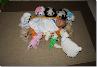 Baby in the manger