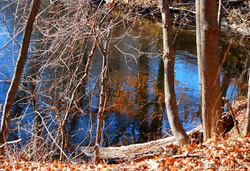 23. river reflections-kab