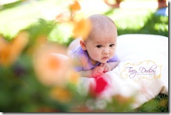 3 Month Baby Girl Tracy Dodson Photography_007