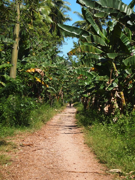 P8316812