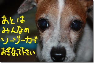 今日カズ１００４０３　６