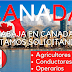 ¿Cómo puedo obtener un permiso de trabajo canadiense desde Perú?