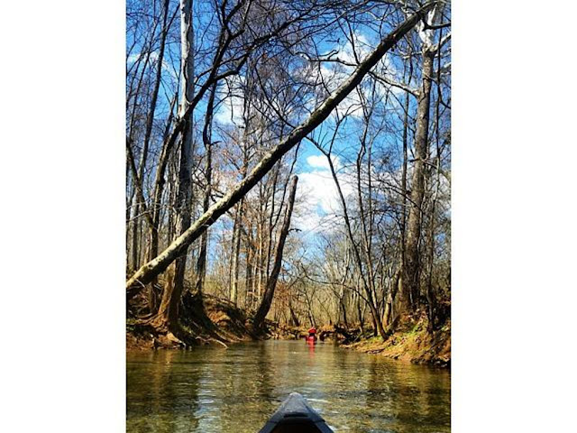 Flint River