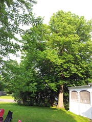 2012-06-08 18.34.57