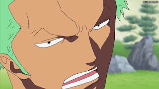 ワンピース アニメ エニエスロビー編 289話 ロロノア・ゾロ Roronoa Zoro | ONE PIECE Episode 289 Enies Lobby