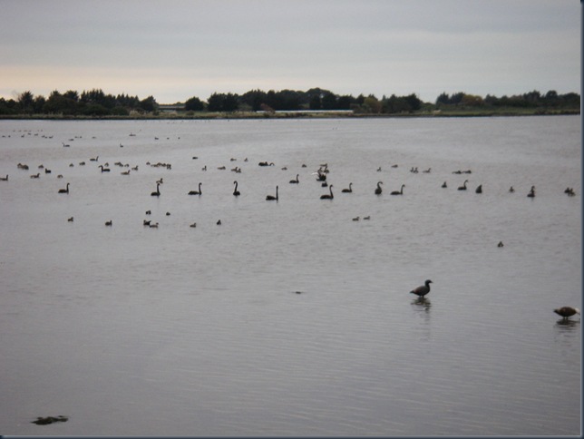 IMGP2657