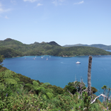 View album