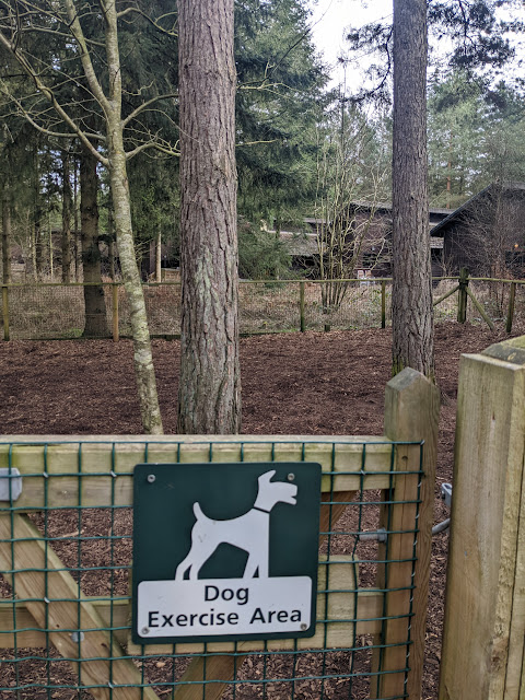 Dog exercise field at Center Parcs Whinfell Forest