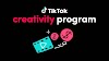 Earning With TikTok Creativity Beta Program | Earning Ideas | Learning with Earning 