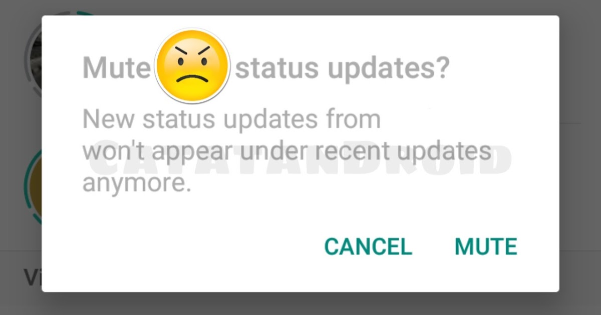 Cara Mute Status  Whatsapp Temen Yang Doyan Update Status  