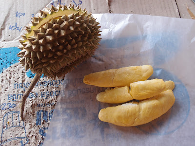 Uttaradit Lin Laplae durian หลิน