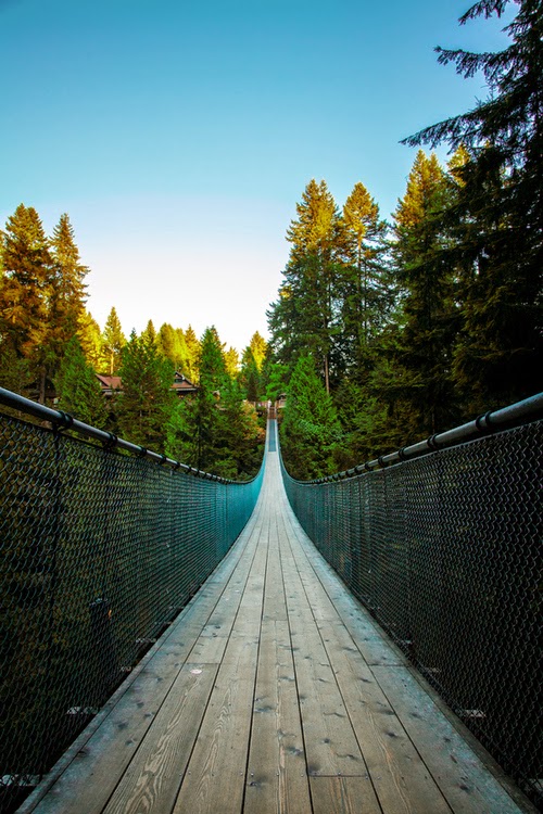 Suspansion Bridge View